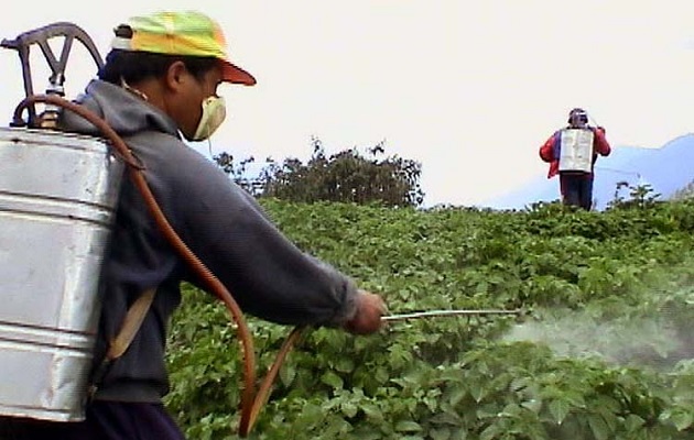 Dedetizadora Cidade Jardim