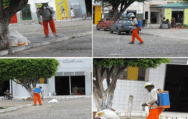 Dedetizadora São José dos Campos